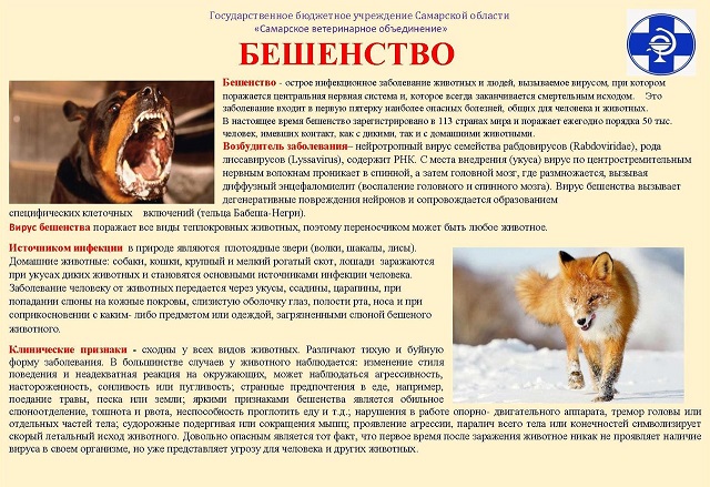 foto 13 12 2021 15 28