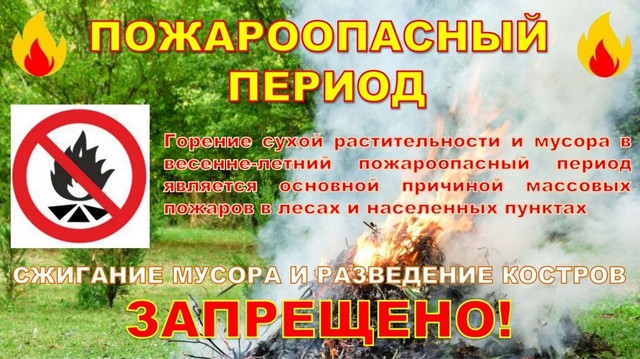 Foto 2025 05 22 20 02 001