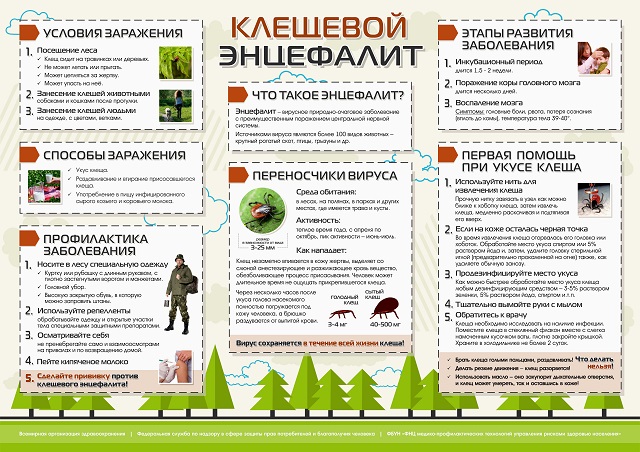 foto 04 06 2025 19 32 4